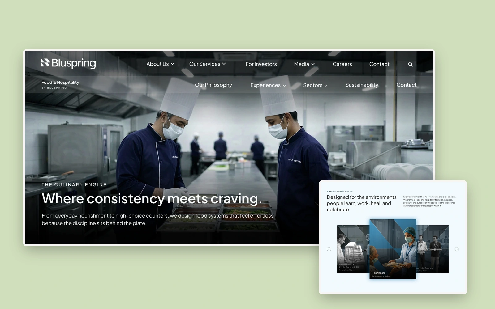 Bluspring website preview