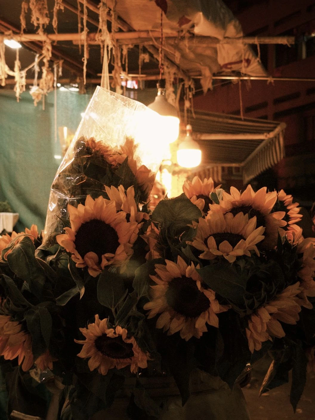 Sunflowers and hanging plants at a warmly lit stall.
