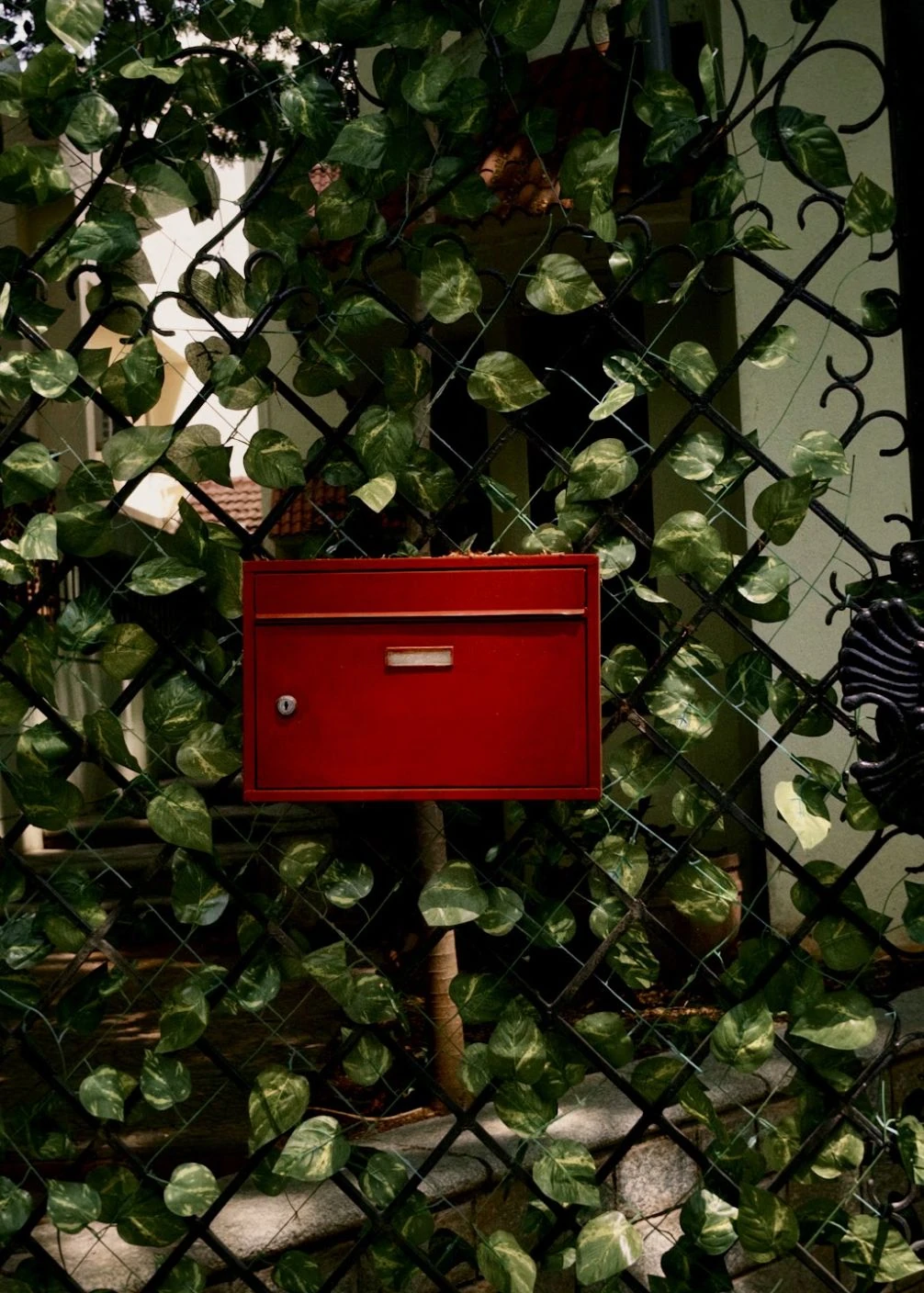 A red letter box surrounded by leaves on a gate.
